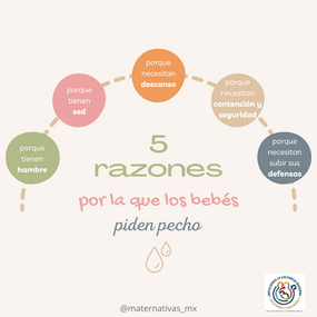 5 razones por la que los bebés piden pecho...
