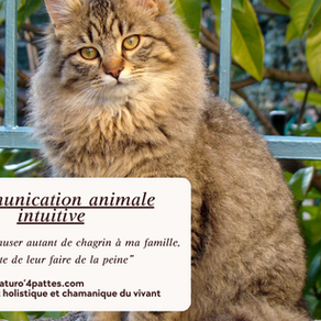 Quand l’Animal pense à nous… jusqu’au bout.
