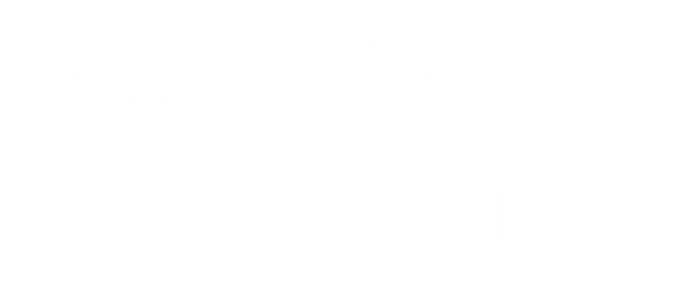 Transparent White Logo_edited.png