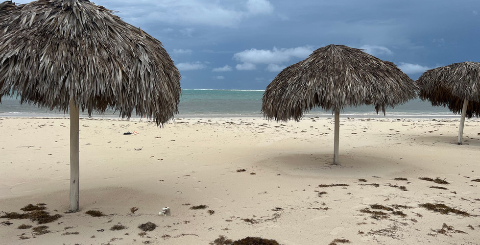 Hotel Serenade Punta Cana Full Review