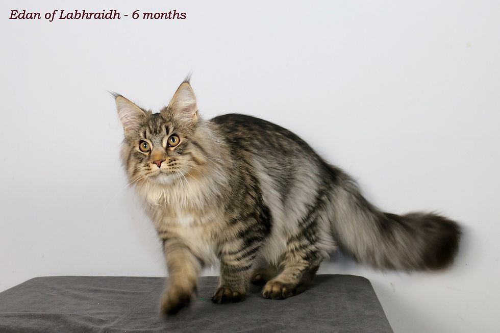 Edan of Labhraidh