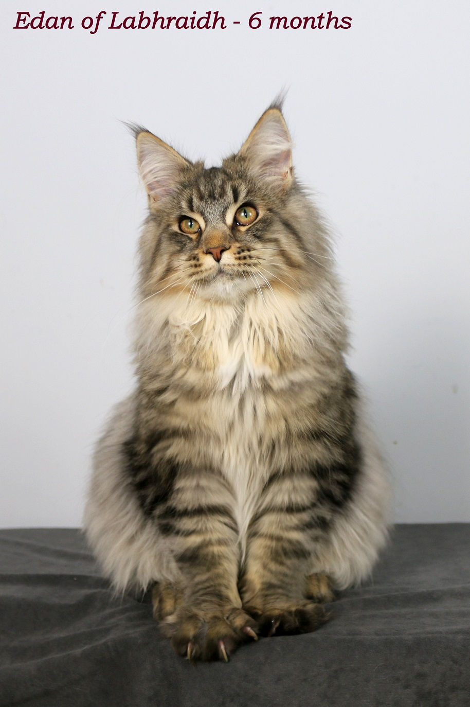 Edan of Labhraidh