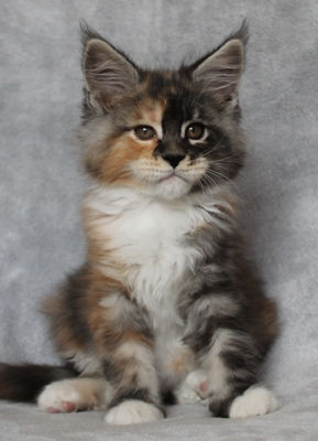 Winnie Silverbastis of Labhraidh (9)