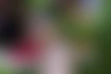 Ve Věznici Světlá nad Sázavou pomáhá odsouzeným ženám a jejich dětem nově i rodinný mediátor