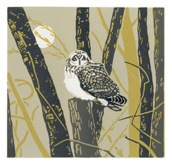 The reverist owl
