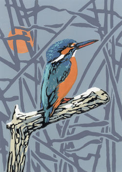 Kingfisher