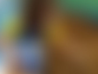 ESCOLA DA VILA INAUGURA HORTA 2021