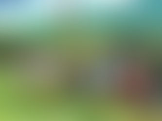 DIA DA ÁRVORE 2021 - VIVÊNCIAS NA ÁREA VERDE!