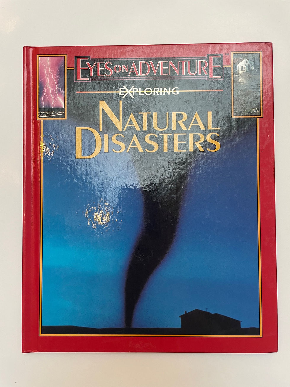 Thumbnail: Natural Disasters