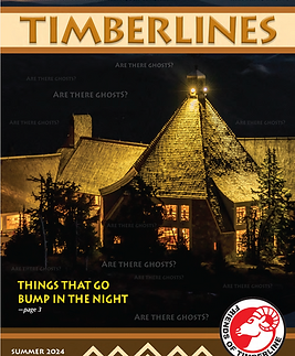 Screenshot 2024-11-14 at 5.47.19 PM.png