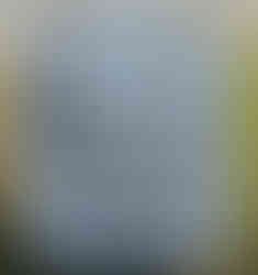 Fairview Avenue Shoppe Sign