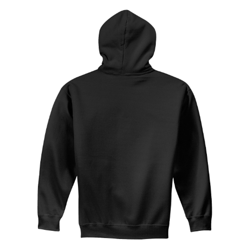 Thumbnail: Delaware Storm - Adult Hooded Sweatshirt