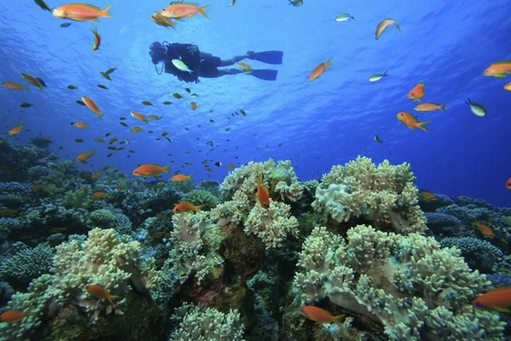 Thumbnail: AUSTRALIA VACATION OWNER WEEKS AT ACCOR