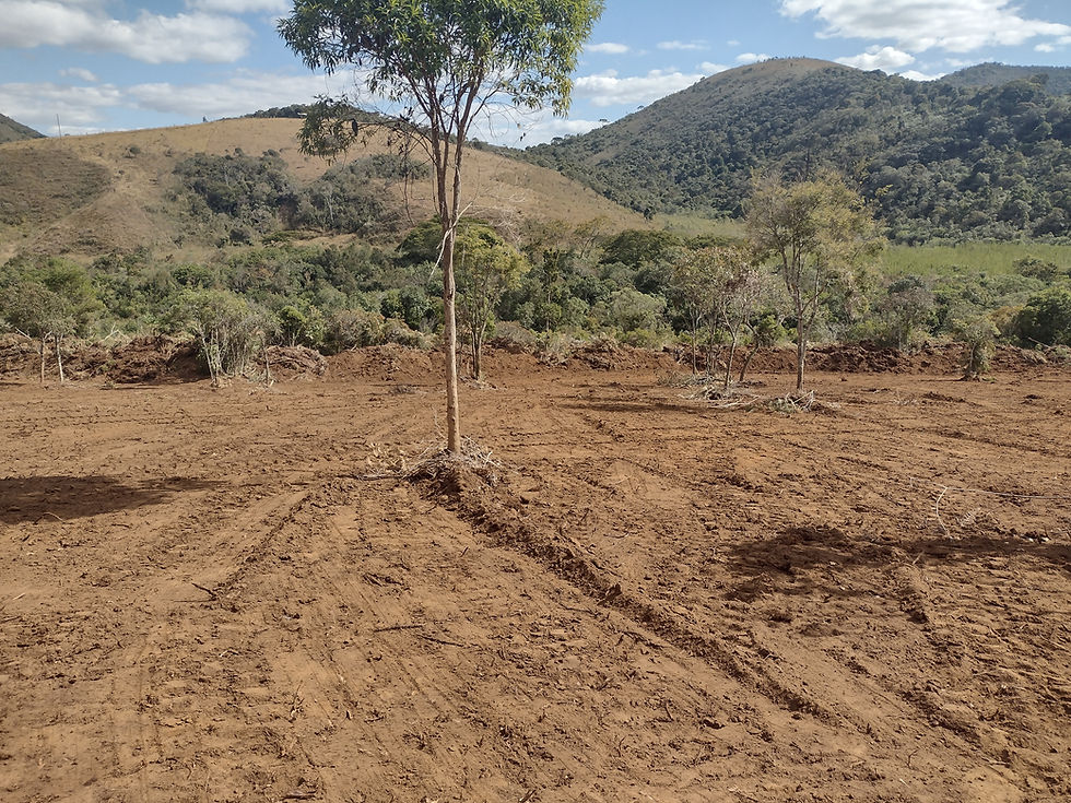 IMG_20220708_121733432_HDR