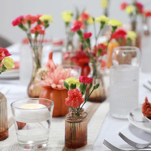 Raiden's Birthday Party