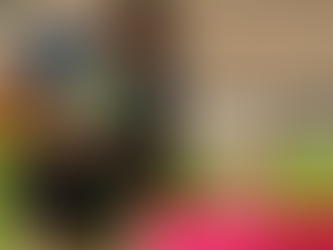 Телепул, до побачення! Верховна Рада прийняла закон: медіаправа – клубам