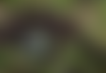 Польща та країни Балтії оголосили про вихід з конвенції про заборону протипіхотних мін