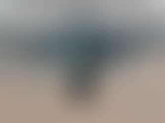 US Democrats demand that President Biden transfer F-16 to Ukraine as soon as possible