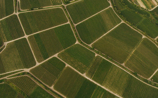 На Prozorro.Продажі вперше пройшли земельні аукціони