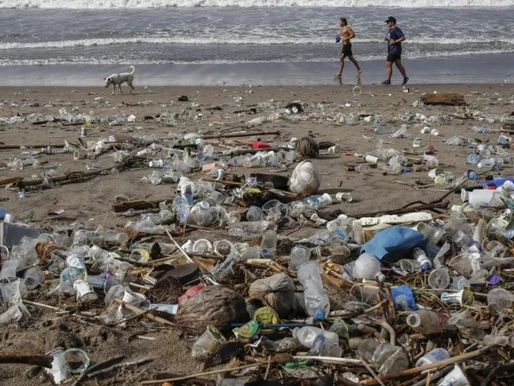 Мікроби по всьому світу почали поїдати пластик