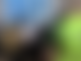 Під час капремонту скверу вкрали 1,3 млн гривень