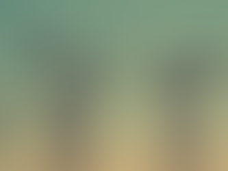 Five regions of Ukraine are experiencing power outages due to shelling - Ministry of Energy