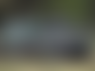 Німеччина надала Україні черговий пакет військової допомоги