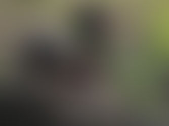 Військовим заборгували 1,5 млрд - омбудсмен