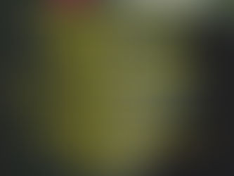 The total combat losses of the enemy from 24.02.22 to 13.04.23 were approximately: