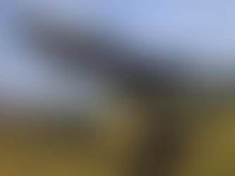 У Німеччині лідер "зелених" підтримав якнайшвидшу передачу Україні ракет Taurus