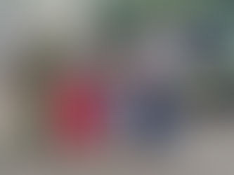 Громадянин Японії Дайсуке Тарутані допомагає українцям та подарував авто волонтерам