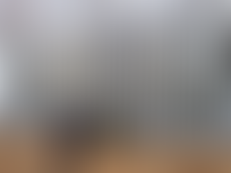 Poland to deploy 500 police officers to guard borders with Belarus