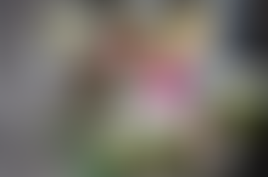 Внаслідок обстрілу Тернорполя загинула дівчинка, в якої було громадянство Польщі