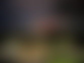 Intelligence Chief: Drone strike on Pskov launched from inside Russia