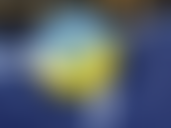 В НАТО заявили, що питання щодо членства України в Альянсі вже остаточно вирішене