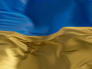 Zelenskyy congratulated on Independence Day: "Whoever wants to sow evil on our land will reap its fruits on his territory". VIDEO 