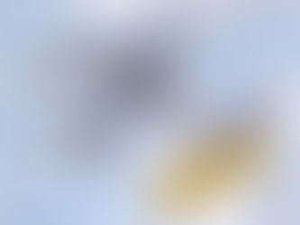 «Мрію» відродять усім світом: у Києві оголосили про збір коштів