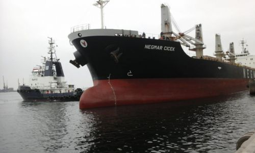 В порту Чорноморськ завантажують балкер українською пшеницею для Ємену