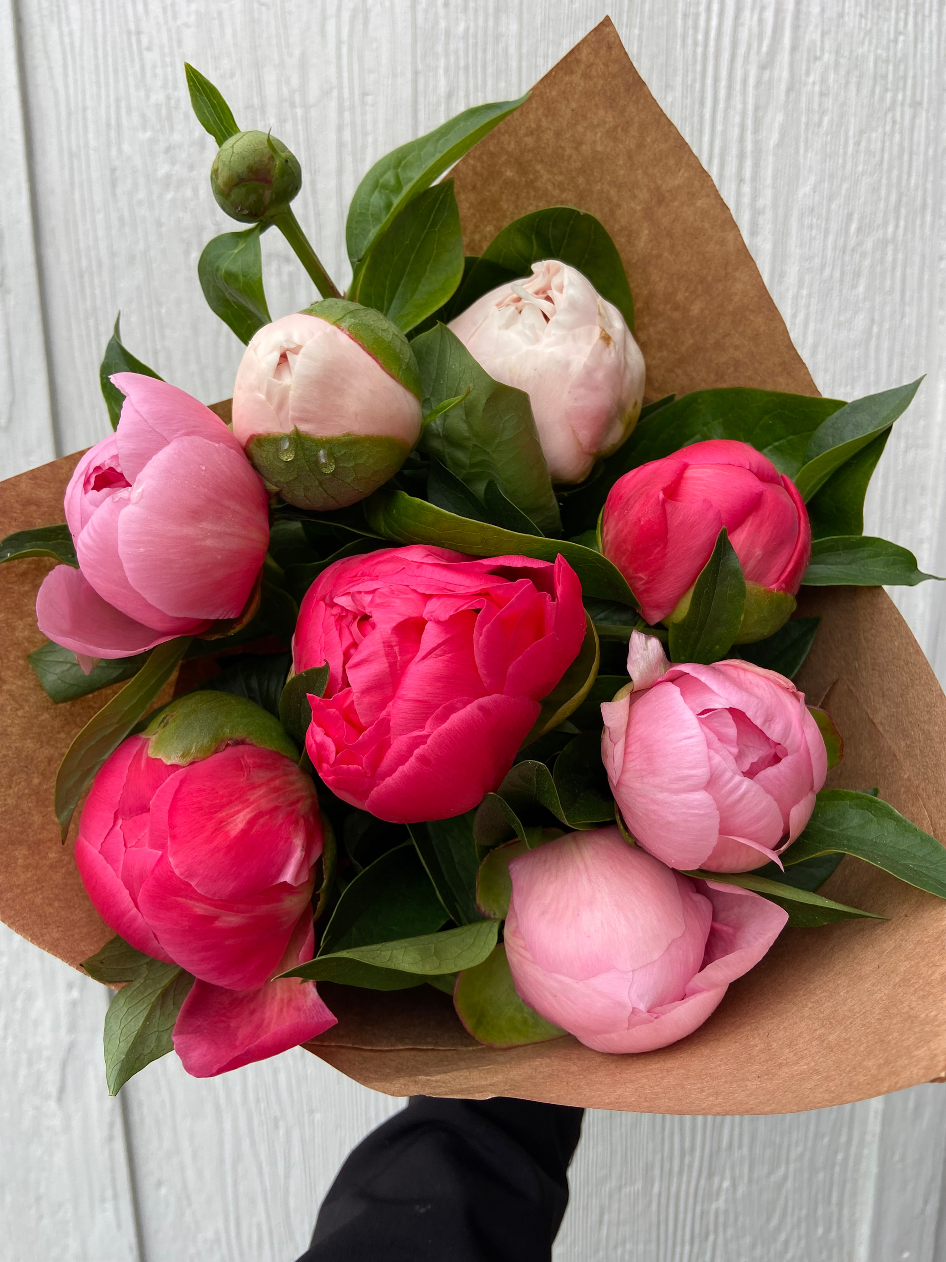 Peonies