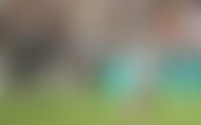 Botafogo e Fluminense jogam clássico no Cariocão