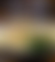 Tasca do Marquês: Onde a Tradição Portuguesa Encontra o Estilo de Vida Carioca