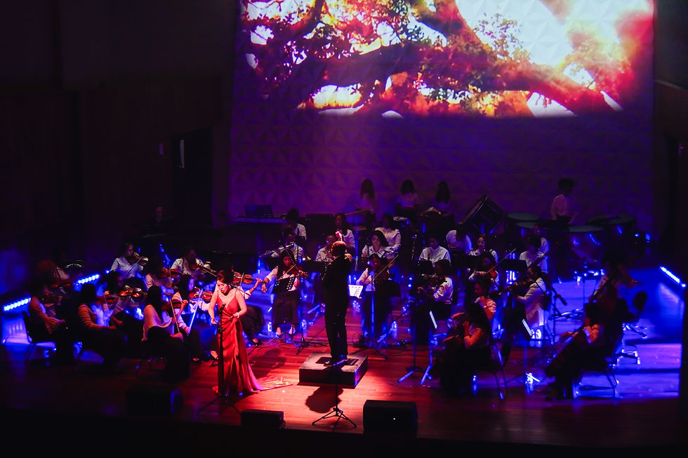 SONS DO ORIENTE ENCANTA O PÚBLICO NA SALA CECÍLIA MEIRELES