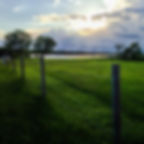 sflfence.jpg