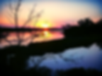 SFL Sunset_edited.jpg