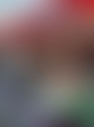 全日本ラリー選手権最終戦ハイランドマスターズ 2025 supported by カヤバ参戦！