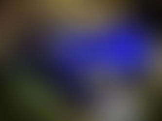 K-one イベント参戦情報❗️