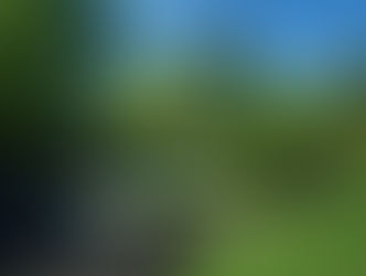 The Masters - It really is THE Most Wonderful Time of the Year!