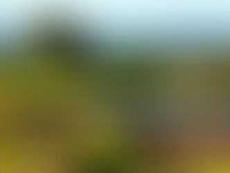 Hunter Valley Golf & Vineyards, New South Wales