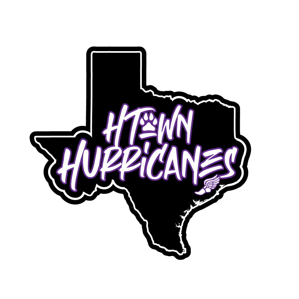 Official H-Town Hurricanes Texas logo