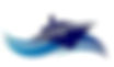 ships group logo.jpeg
